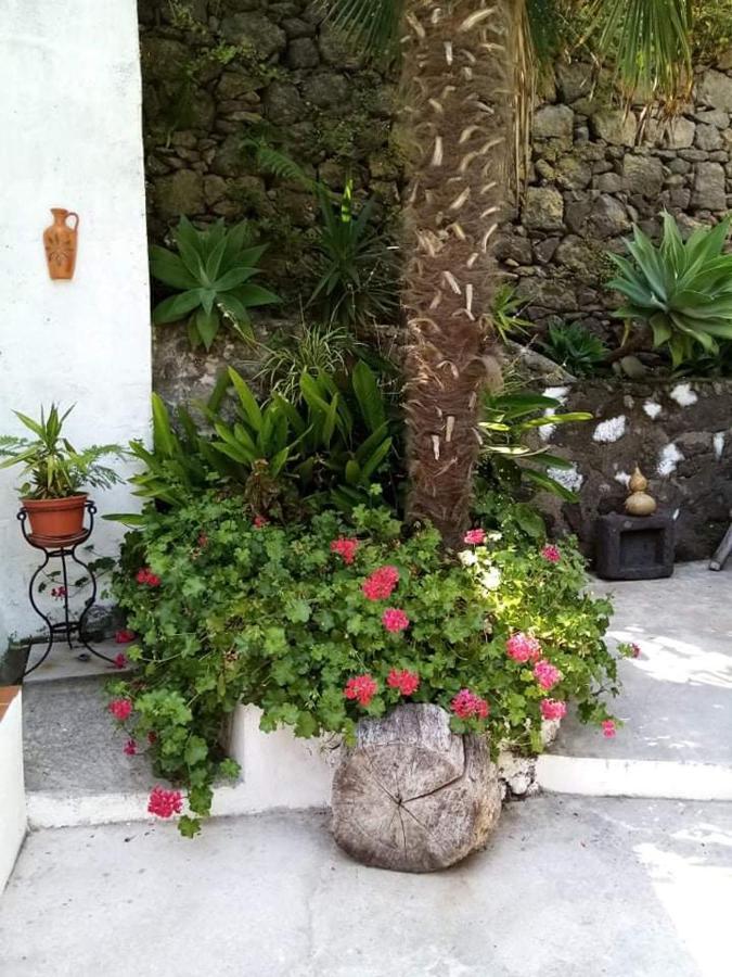 Ribeira Da Praia House Vila Franca do Campo Exterior foto